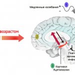 Активность передачи сигналов
