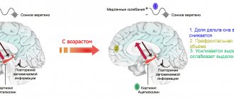 Активность передачи сигналов