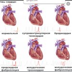 Без заголовка_2.png