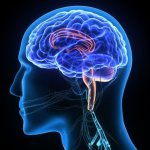 Болезнь Паркинсона