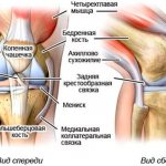 Что болит в колене