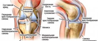 Что болит в колене