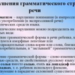 что такое аграмматизм