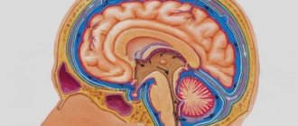 Движение ликвора в ГМ