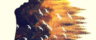 Эйфория и восторг - фото 2