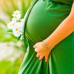 Экологическое влияние