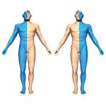 Гемипарез левосторонний и правосторонний: лечение, симптомы, степени - фото