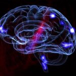 головной мозг