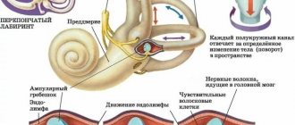 Головокружение при наклоне головы вниз. Причины