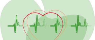 Кома: между жизнью и смертью