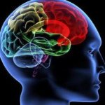 латеровентрикулоасимметрия головного мозга что это такое