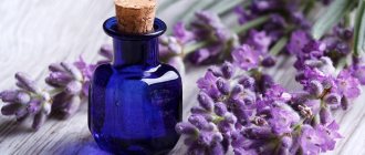 treatment of the nervous system with folk remedies