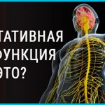 лечение вегетативной дисфункции