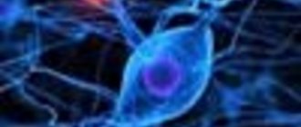 Любое заболевание тройничного нерва приносит невероятные мучения человеку, так как боли действительно бывают невероятно интенсивными. Как справиться с ними и возможно ли лечение при помощи народных средств?