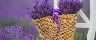 масла для сна