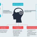 Механизм действия Оксирацетам