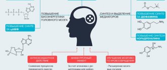 Механизм действия Оксирацетам