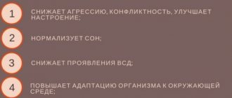 Механизм действия препарата