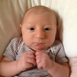 мозолистое тело функции