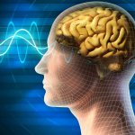 Нарушение работы мозга