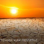 Неврастения: как лечить?