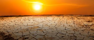 Neurasthenia: how to treat?