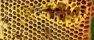 Honeycomb