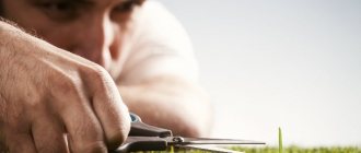 Перфекционизм