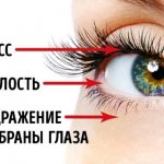 причины и симптомы дергания века