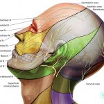 Причины невралгии