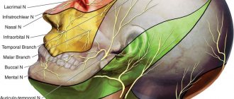 Causes of neuralgia