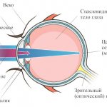 Причины, почему появляется туман в глазах