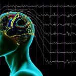 Interpretation of EEG indicators of the brain