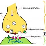 Схематическое изображение устройства синапса