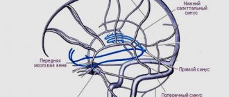 Синусы головного мозга