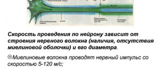 Pulse transmission rate