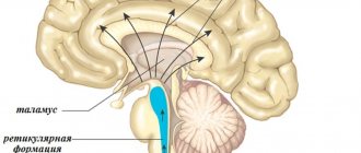 Sleep from a physiological point of view