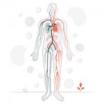 Vascular encephalopathy - Summer