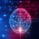 Vascular pathology of the brain