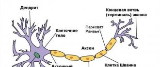 Structure