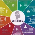 Типы интеллекта