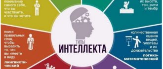 Типы интеллекта