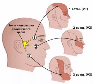 Воспаление тройничного нерва глаза симптомы и лечение фото