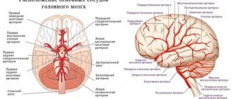 blood supply device