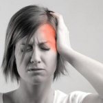 Височная доля находится