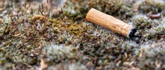 Влияние никотина на работу головного мозга человека - Веримед