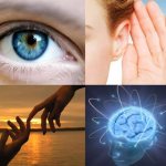 Восприятие - понятие, классификация, свойства