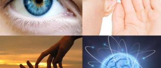 Perception - concept, classification, properties