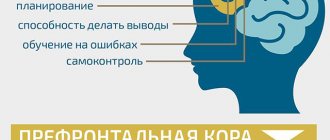 За что отвечает ПК