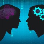 female and male brain